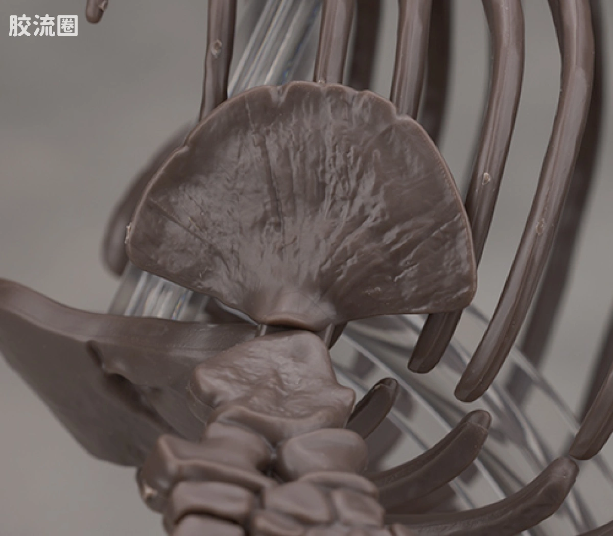 万代综合拼装模型系列 Imaginary Skeleton系列 沧龙 - 图片